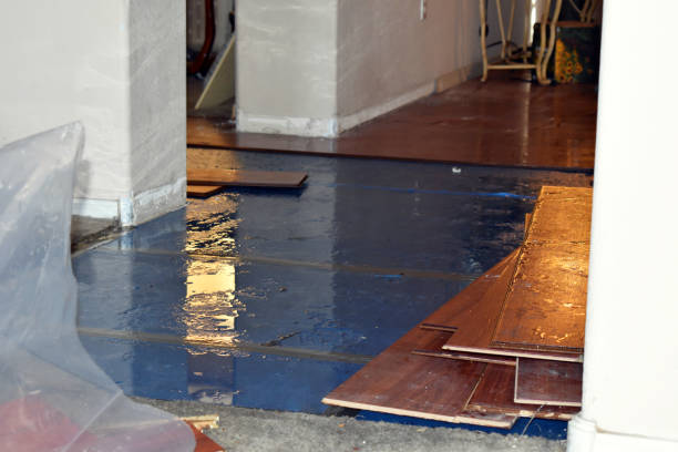Professional Water Damage Restoration technician working in Trevor, WI